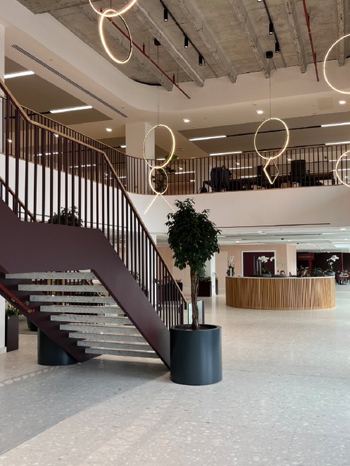 Reception with the feature stair, Rose Court, London